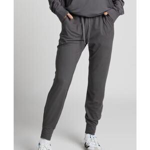 323 NWT COMFRT All Day Jersey Jogger in Steel Grey in Sz Small